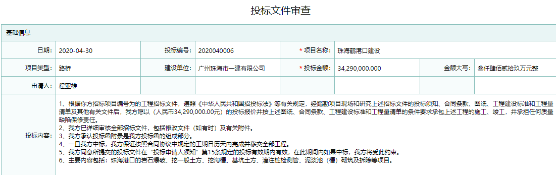 投标文件审查信息