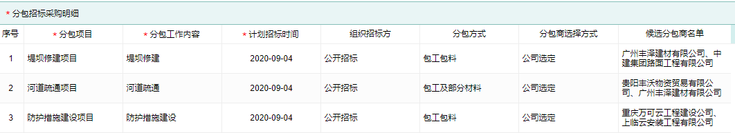 分包招标采购计划明细