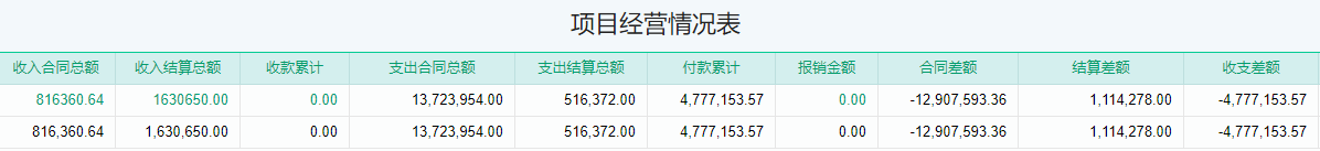 项目经营情况