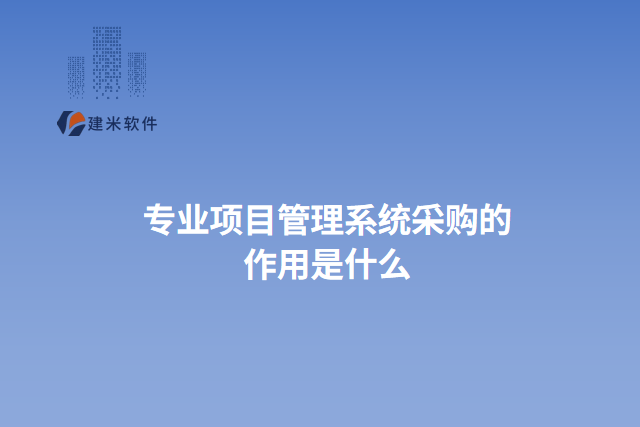 专业项目管理系统采购的 作用是什么