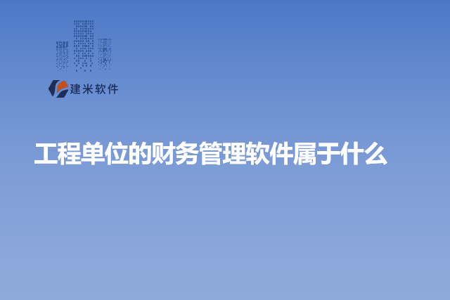 工程单位的财务管理软件属于什么