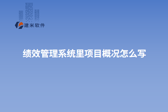 绩效管理系统里项目概况怎么写