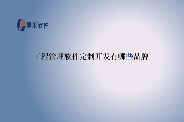 工程管理软件的定制开发有哪些品牌