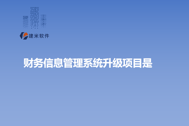财务信息管理系统升级项目是