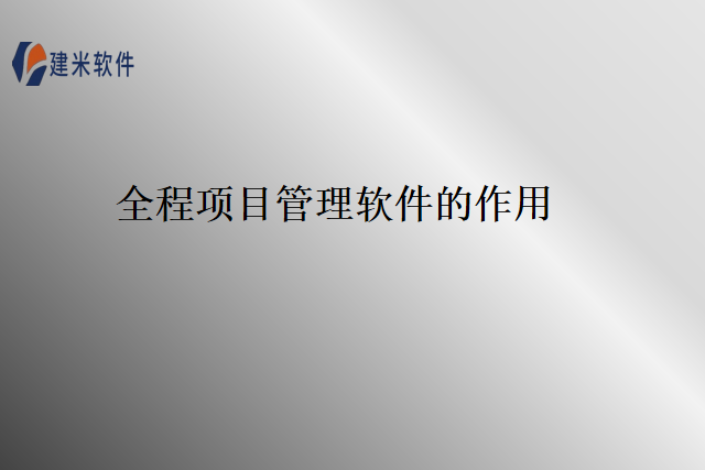 全程项目管理软件的作用