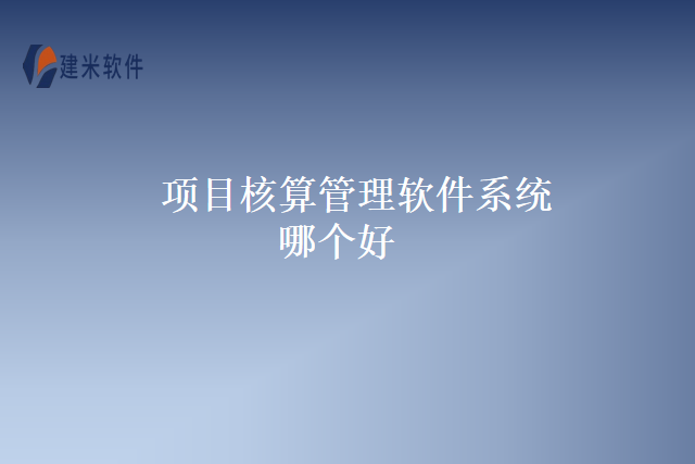 项目核算管理软件系统哪个好