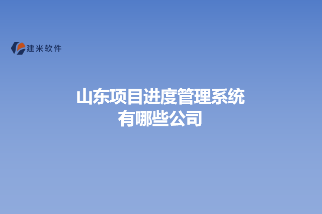 山东项目进度管理系统有哪些公司