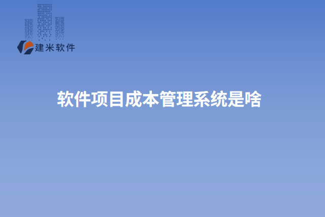 软件项目成本管理系统是啥