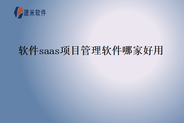软件saas项目管理软件哪家好用