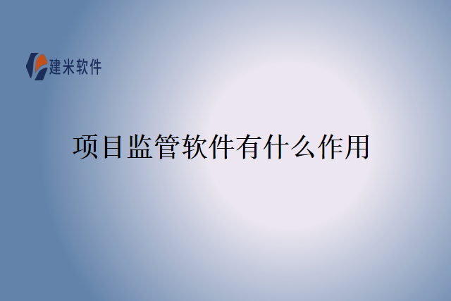 项目监管软件有什么作用