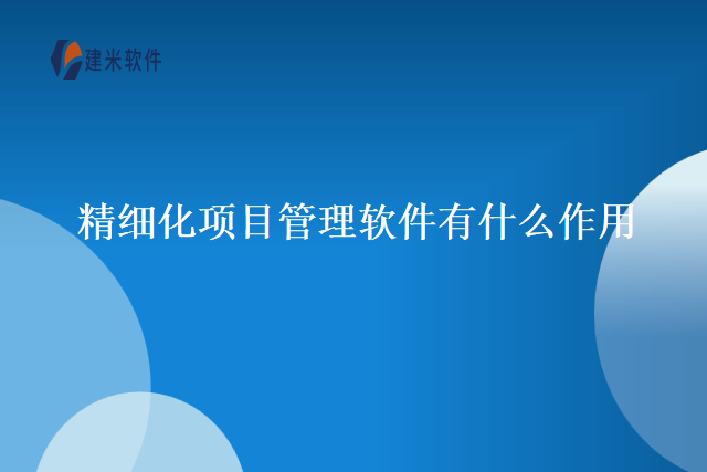 精细化项目管理软件有什么作用