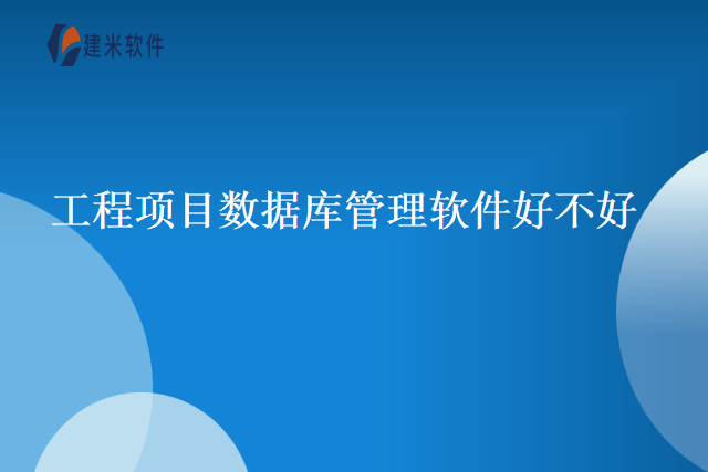 工程项目数据库管理软件好不好