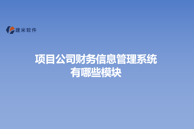 项目公司财务信息管理系统有哪些模块