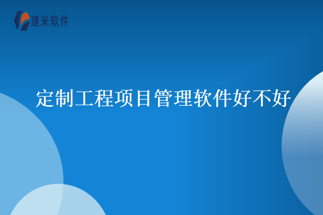 定制工程项目管理软件好不好