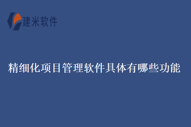 精细化项目管理软件具体有哪些功能