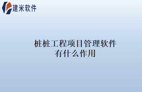 桩桩工程项目管理软件有什么作用