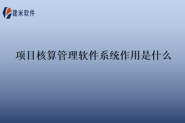 项目核算管理软件系统作用是什么