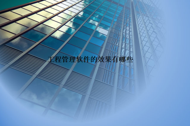 工程管理软件的效果有哪些
