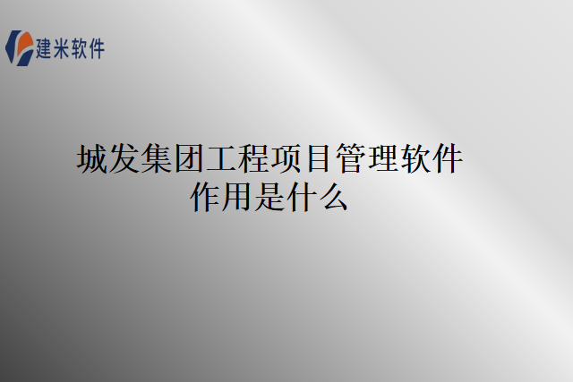 城发集团工程项目管理软件作用是什么