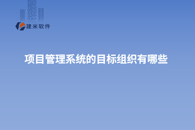 项目管理系统的目标组织有哪些