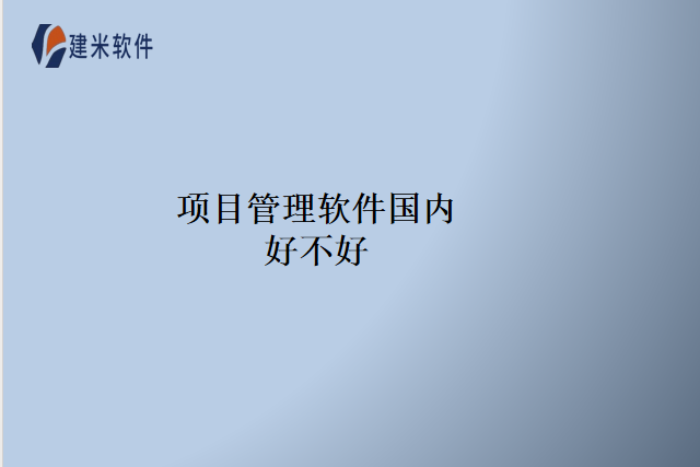项目管理软件国内好不好