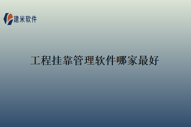 工程挂靠管理软件哪家最好