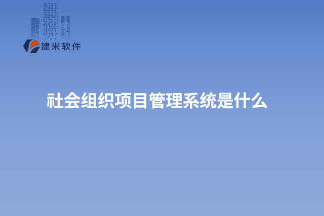 社会组织项目管理系统是什么