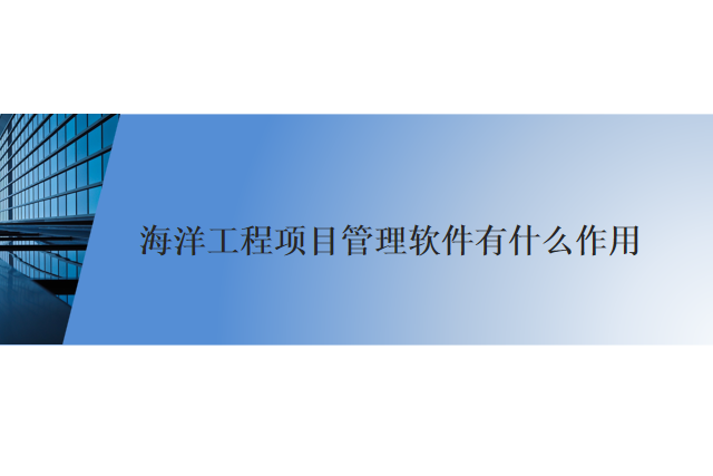海洋工程项目管理软件有什么作用