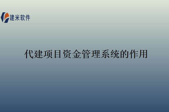 代建项目资金管理系统的作用