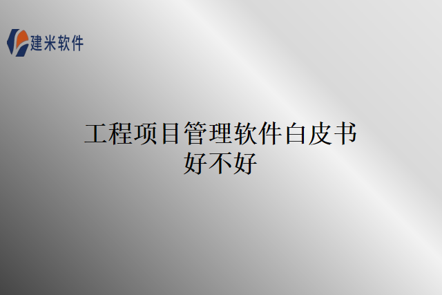 工程项目管理软件白皮书好不好