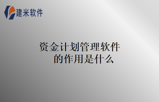资金计划管理软件的作用是什么