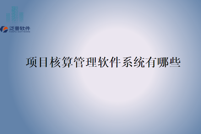 项目核算管理软件系统有哪些