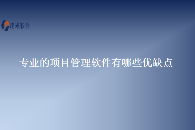 专业的项目管理软件有哪些优缺点