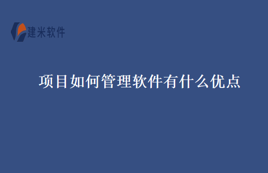 项目如何管理软件有什么优点