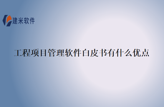 工程项目管理软件白皮书有什么优点