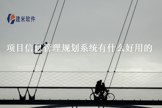 项目信息管理规划系统有什么好用的？