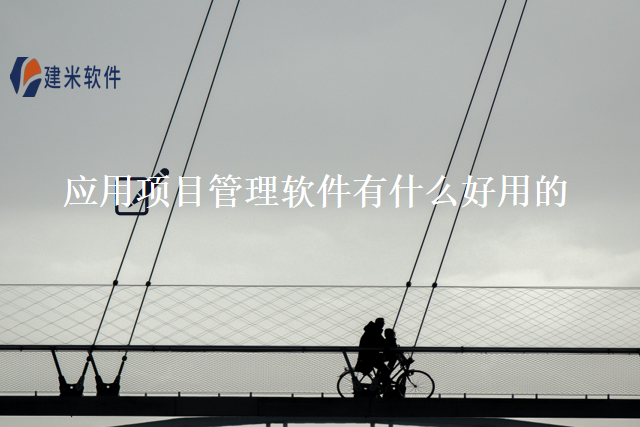 应用项目管理软件有什么好用的