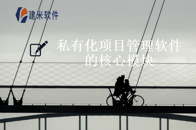 私有化项目管理软件的核心模块