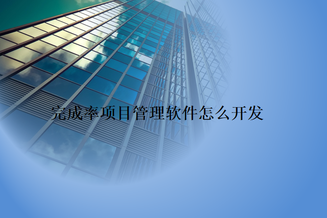 完成率项目管理软件怎么开发
