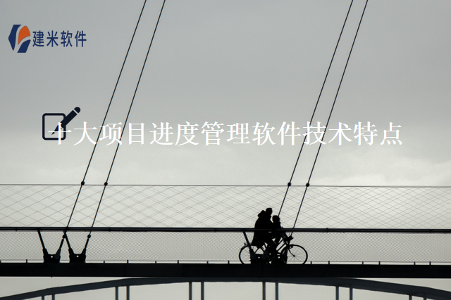 十大项目进度管理软件技术特点