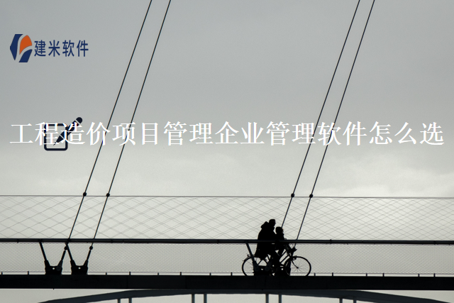 工程造价项目管理企业管理软件怎么选