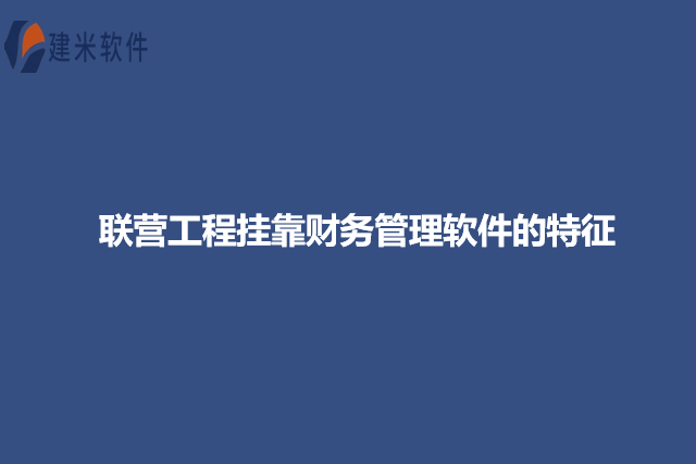 联营工程挂靠财务管理软件的特征