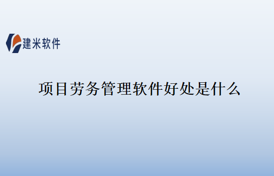 项目劳务管理软件好处是什么