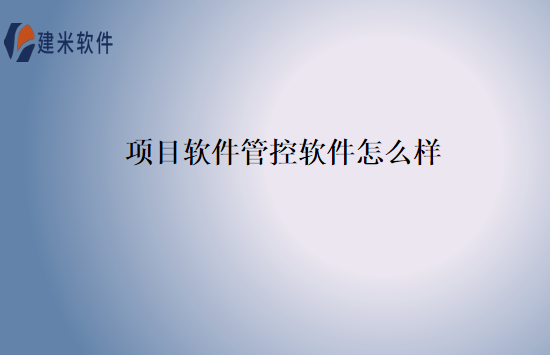 项目软件管控软件怎么样