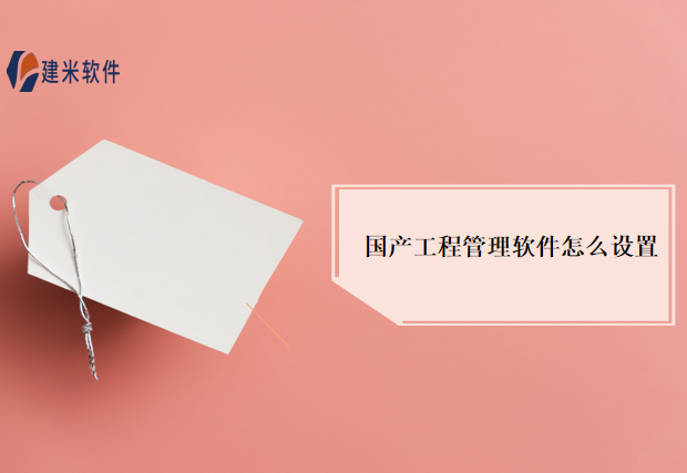 国产工程管理软件怎么设置?