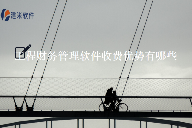 工程财务管理软件收费优势有哪些