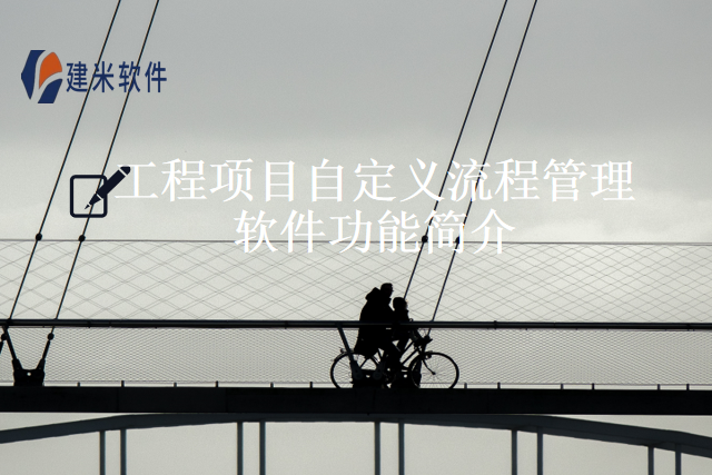 工程项目自定义流程管理软件