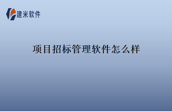 项目招标管理软件怎么样