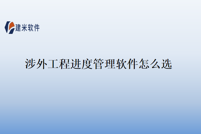 涉外工程进度管理软件怎么选