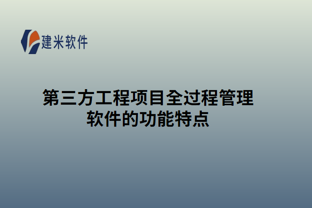 第三方工程项目全过程管理件的功能特点
